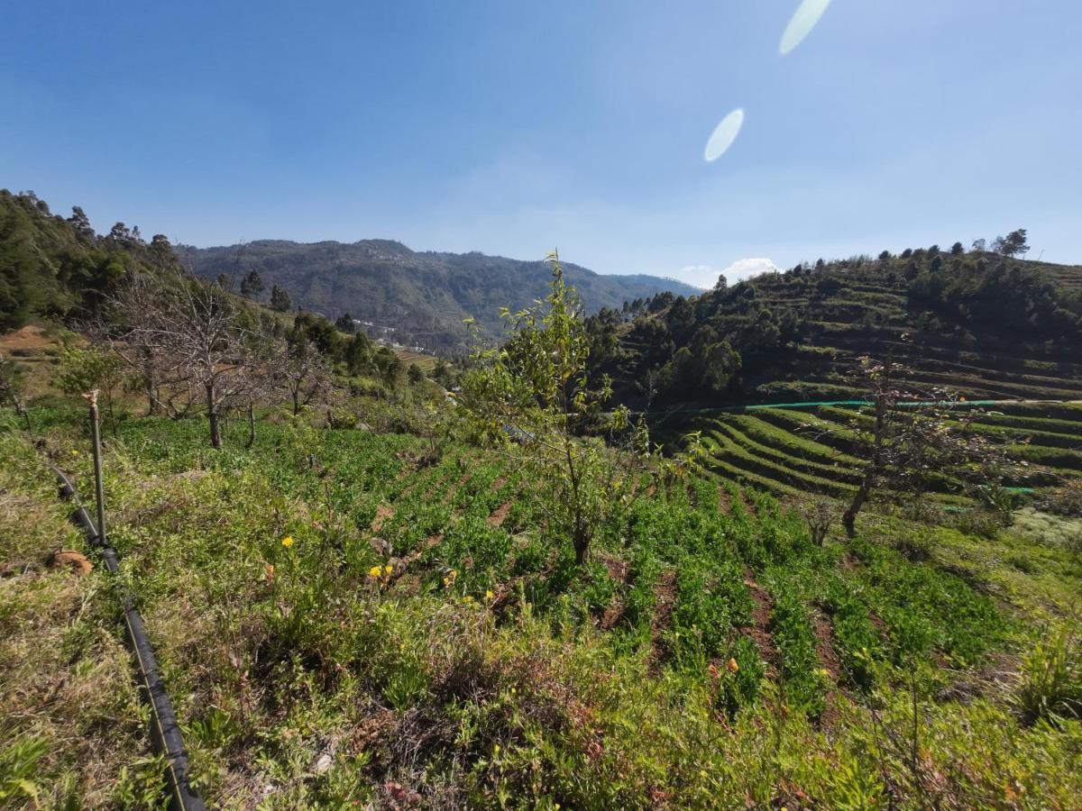 Hie Moksha Glamping Villa Kodaikanal Eksteriør bilde