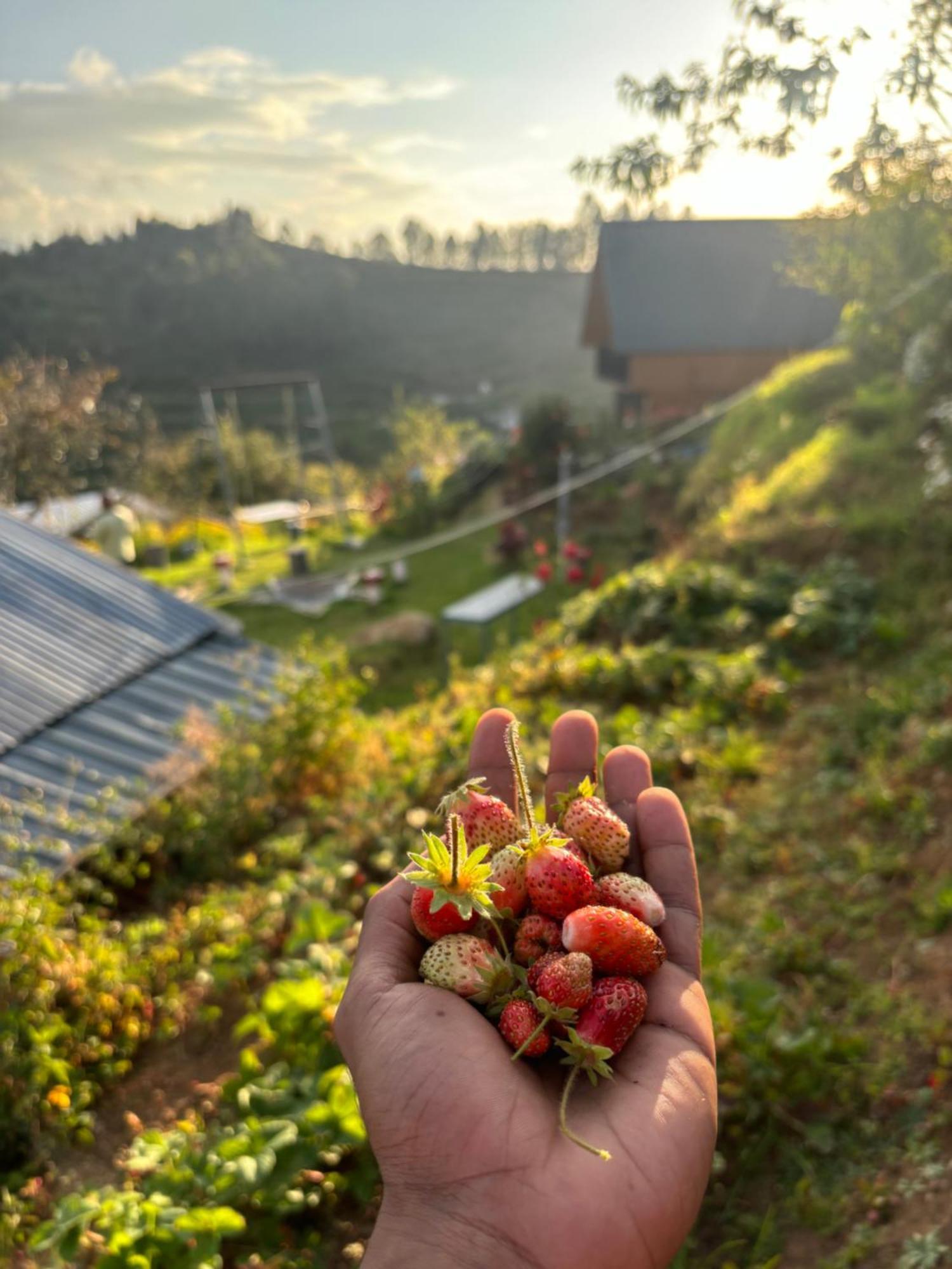 Hie Moksha Glamping Villa Kodaikanal Eksteriør bilde